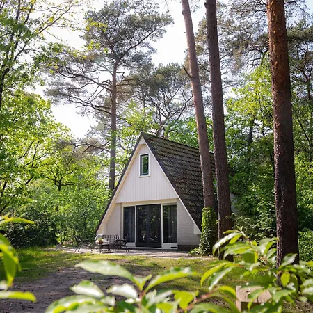 Magnolia Veluwe Dom wakacyjny Nunspeet
